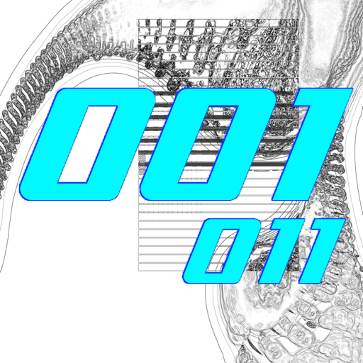 001-011