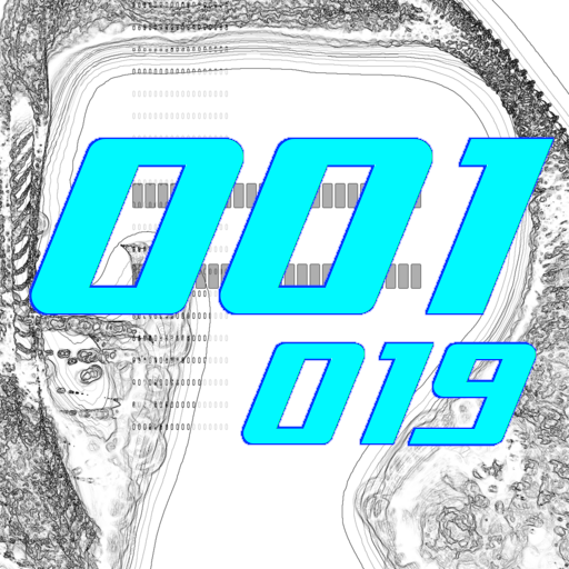 001-019