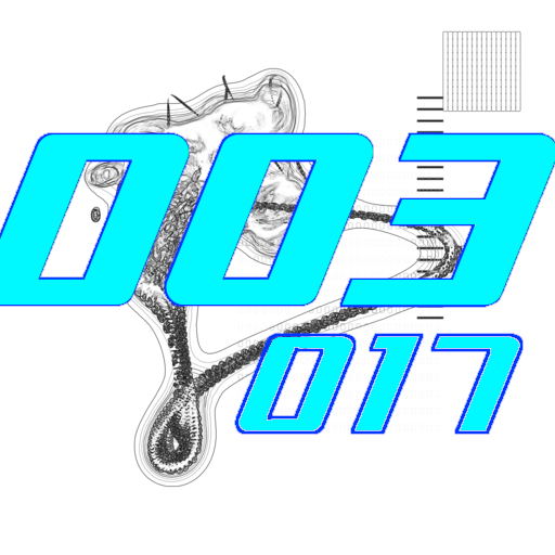 003-017