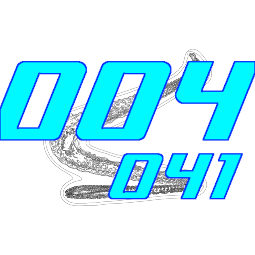 004-041