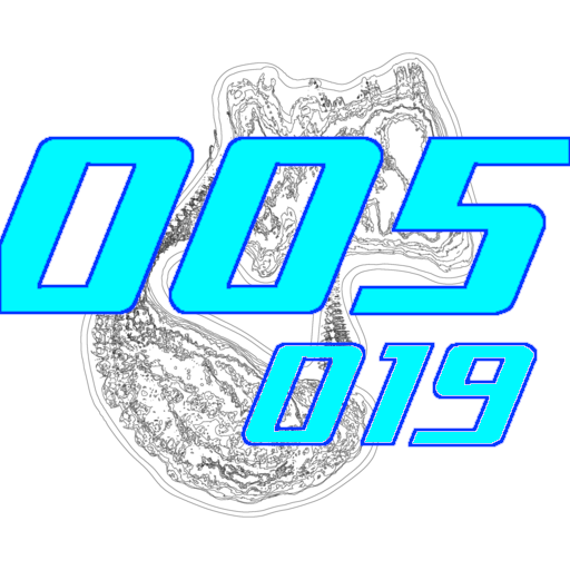 005-019