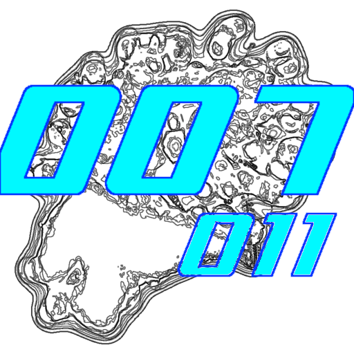 007-011