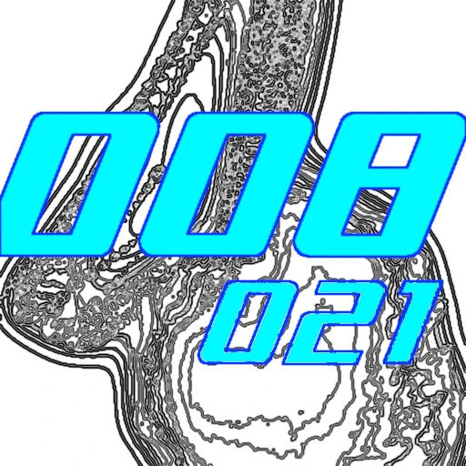 008-021