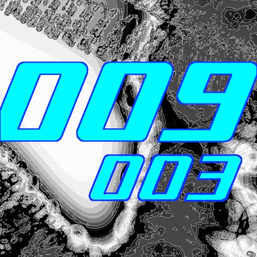 009-003