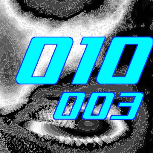 010-003
