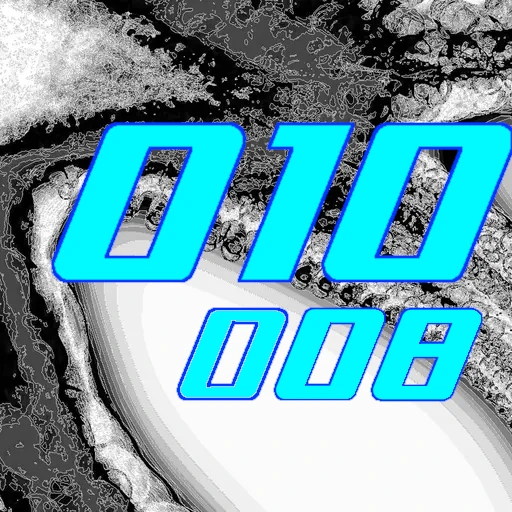 010-008