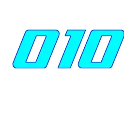 010