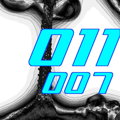 011-007