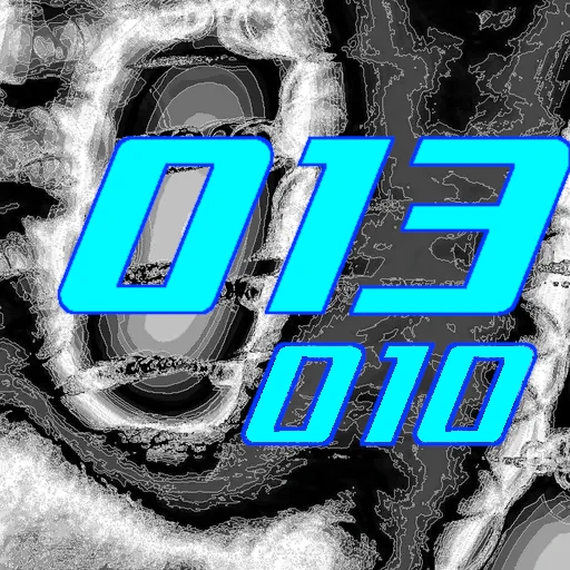 013-010