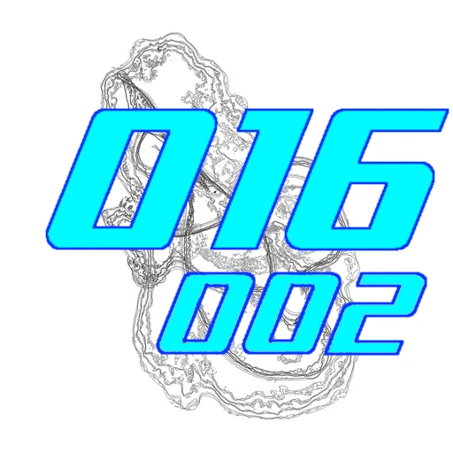 016-002