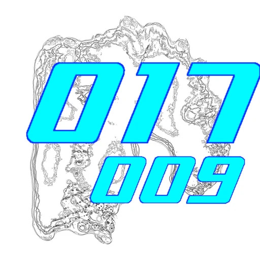 017-009
