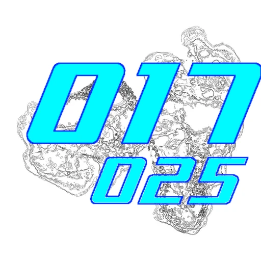 017-025