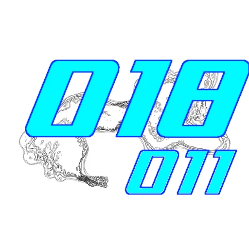 018-011