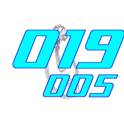 019-005