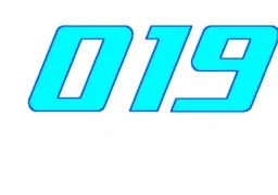 019