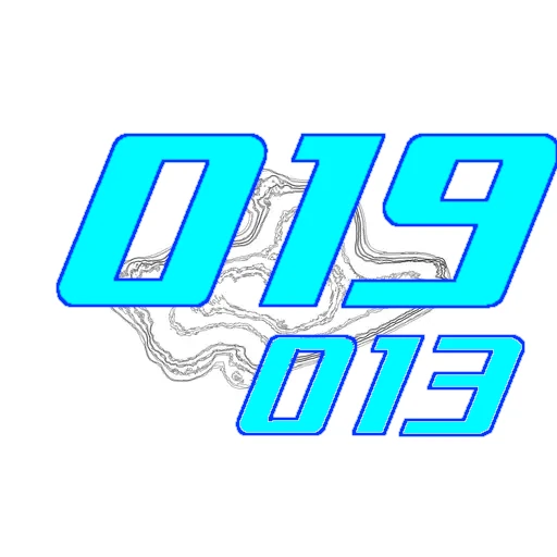 019-013