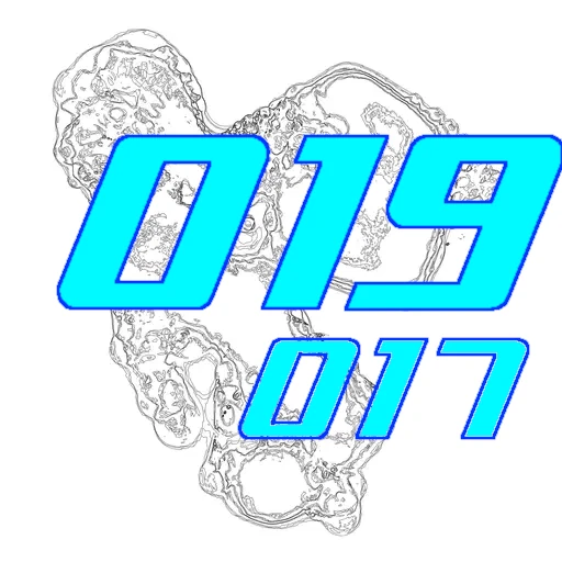 019-017