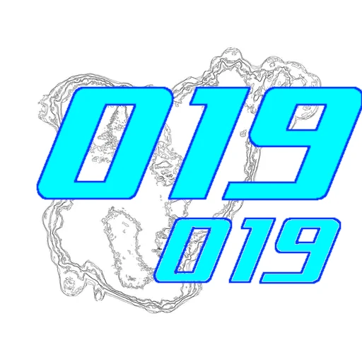 019-019