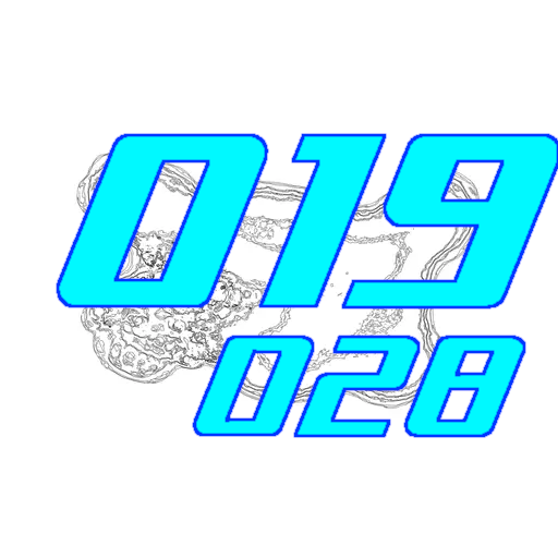 019-028