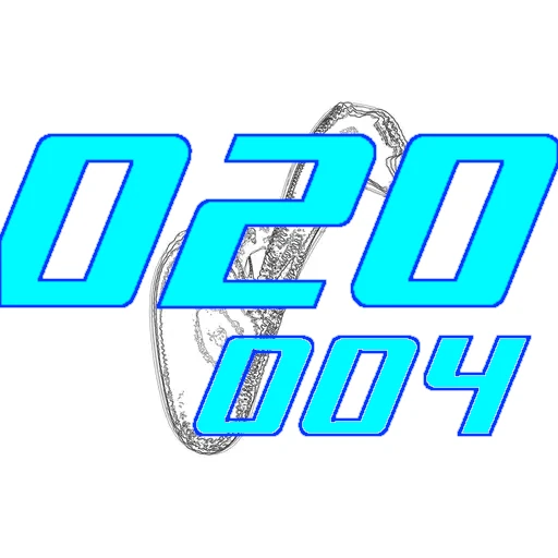 020-004