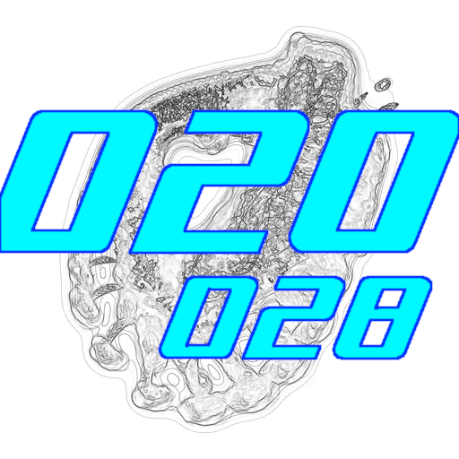 020-028
